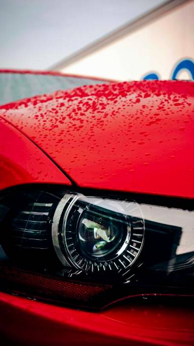 Ceramic coated section